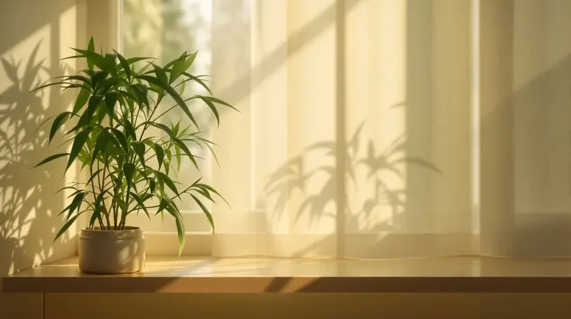 治愈时光 · 温柔治愈 - 飘花影视专题
